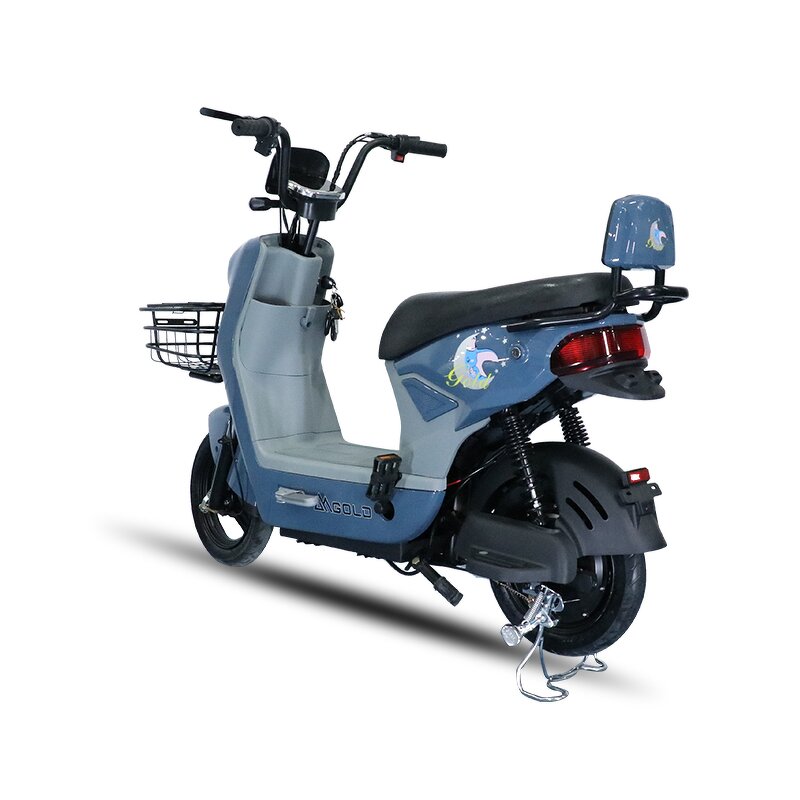 Electric Scooter Factory - OEM 500W Adult Disc Brake Big Wheels