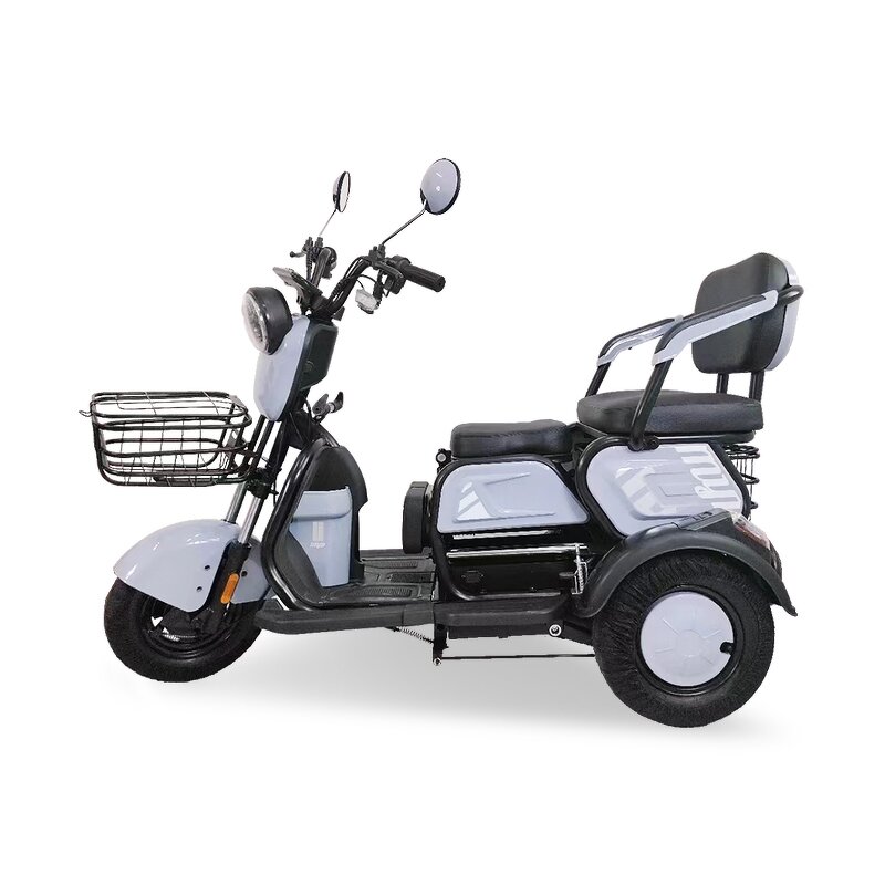 Electric Tricycle Supplier - OEM 600W 48V 3 Wheel with Basket