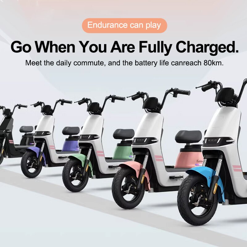 Electric Bicycle Factory - OEM 500W Brushless Aluminum Alloy City