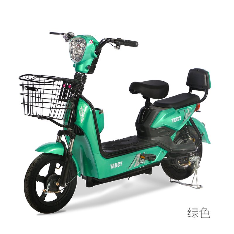 Electric Bicycle Manufacturer - OEM Portable 48V12A City Ebike