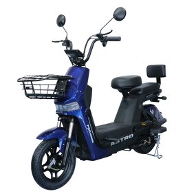Electric Bike Factory - OEM 48V 500W Digital Urban Two-Seater