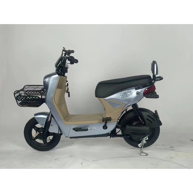 Electric Skateboard Factory - OEM Hot-selling 48V12A E-bike