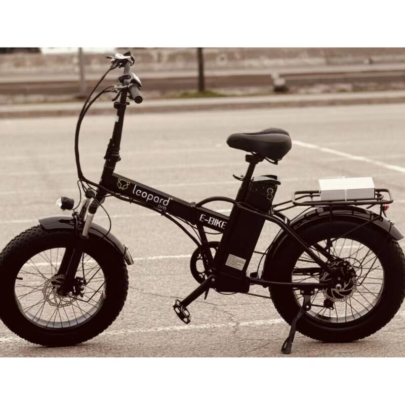 Cargo Electric Bike Factory - OEM 3Speed 48V 500W 20 Inch