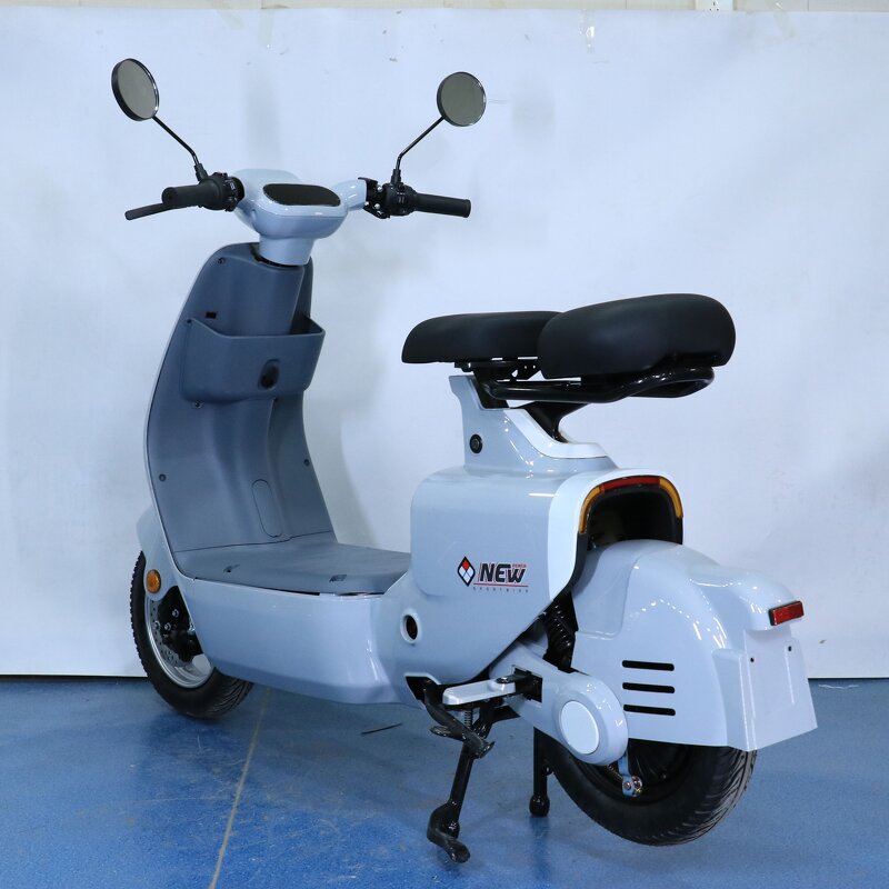 Electric Bicycle Manufacturer - OEM 2 Seater Long Range E Bike