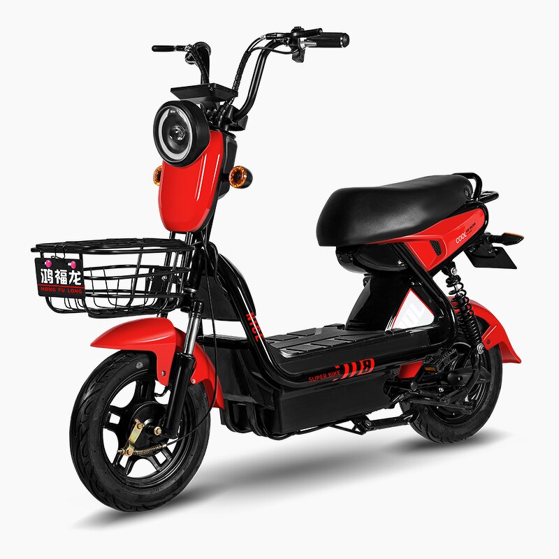 Electric Bicycle Supplier - OEM 48V12A 2024 New City Popular