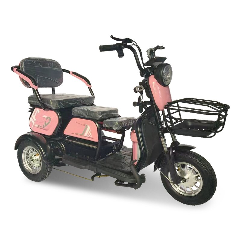 Electric Tricycle Factory - OEM 600W Multi-purpose for Disabled