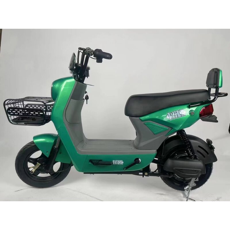 Electric Skateboard Factory - OEM Hot-selling 48V12A E-bike