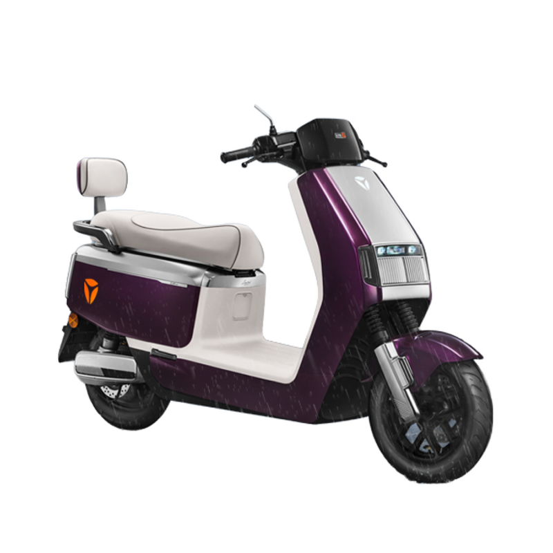 Electric Motorcycle Factory - OEM 72V 800W Retro Fast Fashion