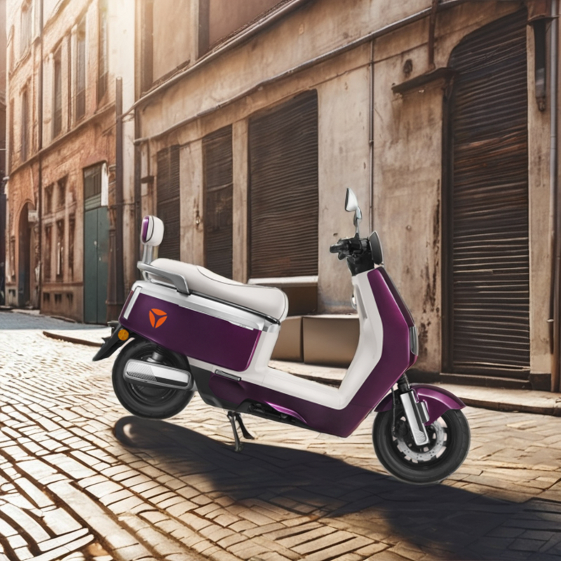 Electric Motorcycle Factory - OEM 72V 800W Retro Fast Fashion