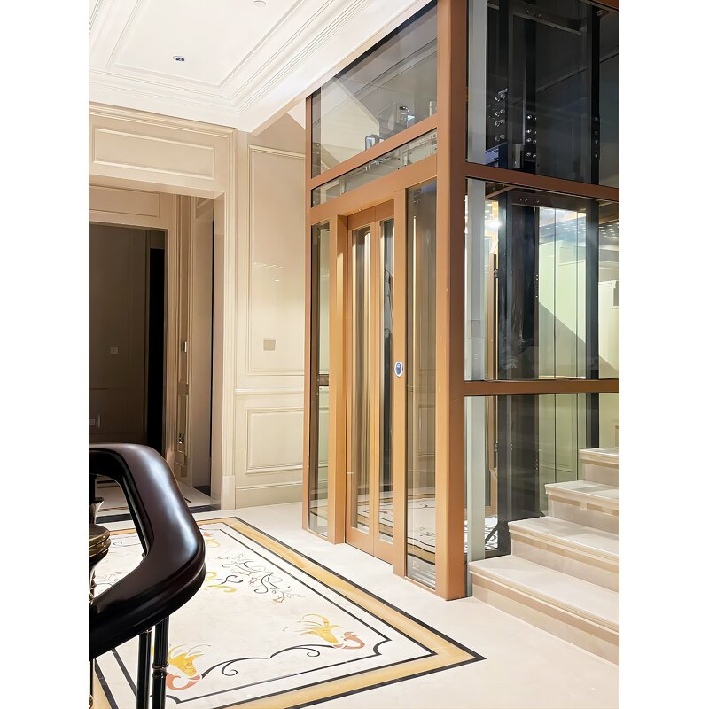 Home Elevator Factory - Custom Villa Lift OEM Manufacturer