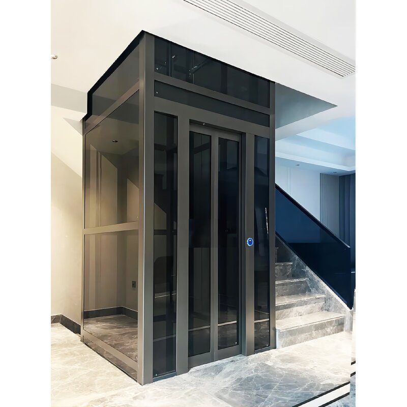 Home Elevator Factory - Custom Villa Lift OEM Manufacturer