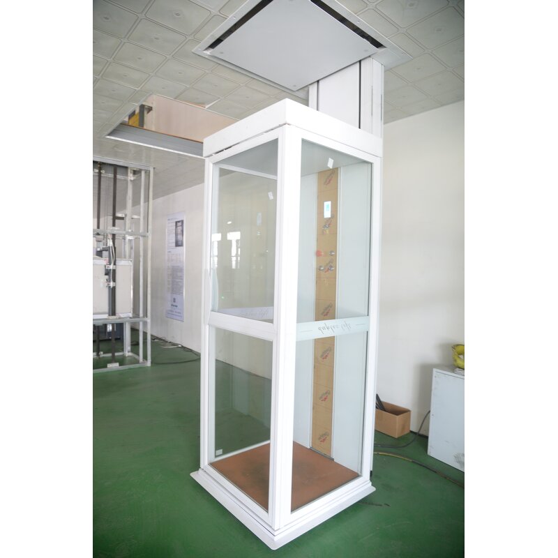 Home Elevator Manufacturer - Private Label Villa Lift