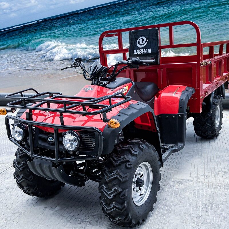 ATV Quad Factory - Euro4 250cc Metal Construction