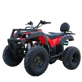ATV Quad Factory - 250cc Automatic Chain Drive Metal