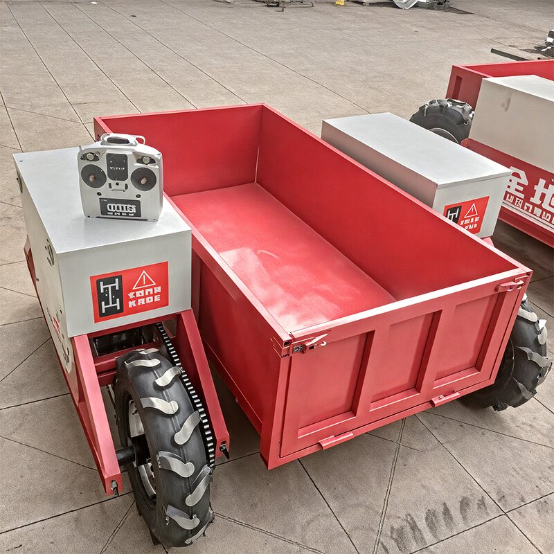 Transport Vehicle Manufacturer - All Terrain 4WD Remote Control