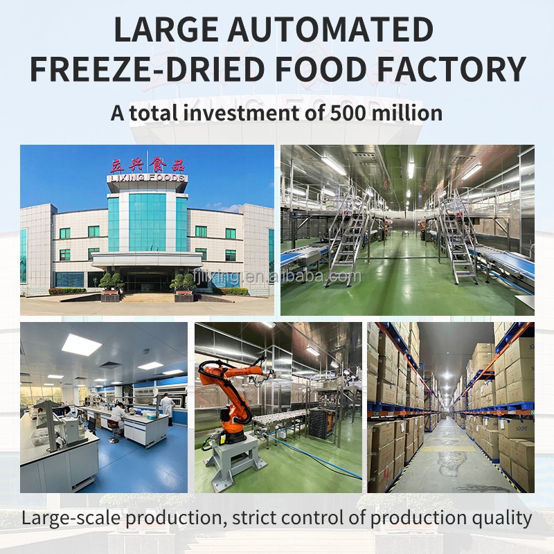 Freeze Dried Ice Cream Factory - OEM All Flavors Bag