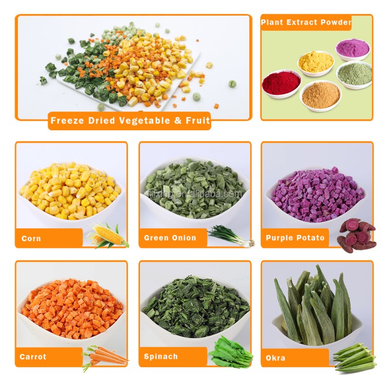 Freeze Dried Vegetable Manufacturer - OEM Broccoli Carrot Corn