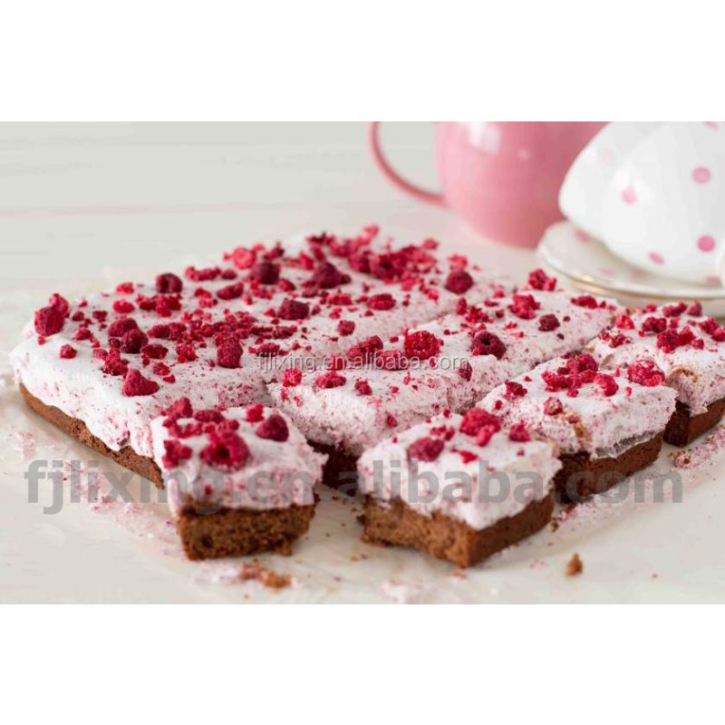 Freeze Dried Strawberry Manufacturer - OEM Diced Slice Powder