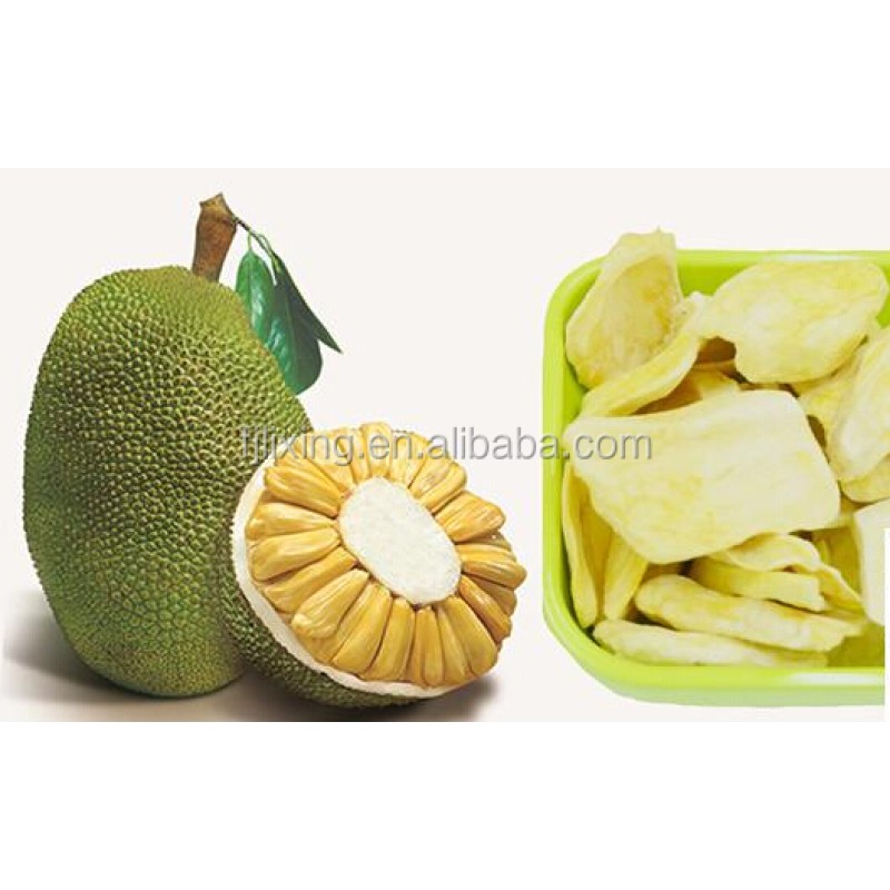 Freeze Dried Jackfruit Factory - OEM Tropical FD Snack