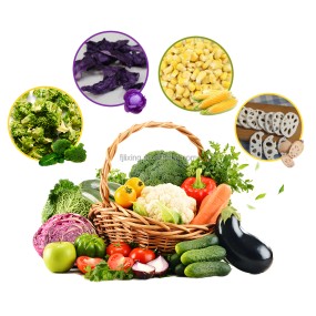 Freeze Dried Vegetable Manufacturer - OEM Carrot Okra Chips