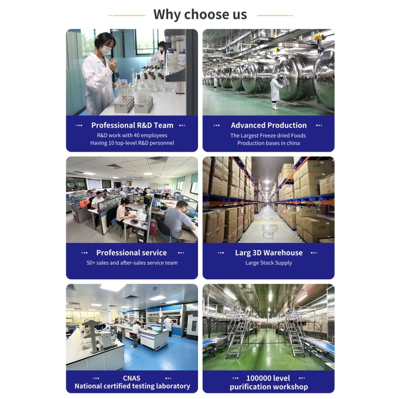 Freeze Dried Ice Cream Factory - OEM All Flavors Bag