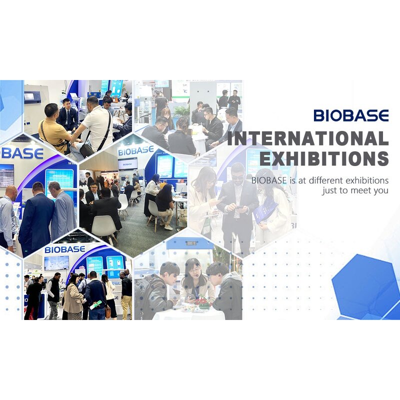 Walking Stick Factory - Height Adjustable Support Stick