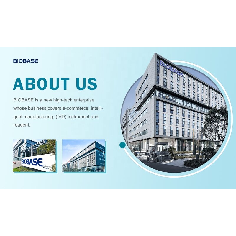 Walking Stick Manufacturer - Steps Height Adjustable Stick