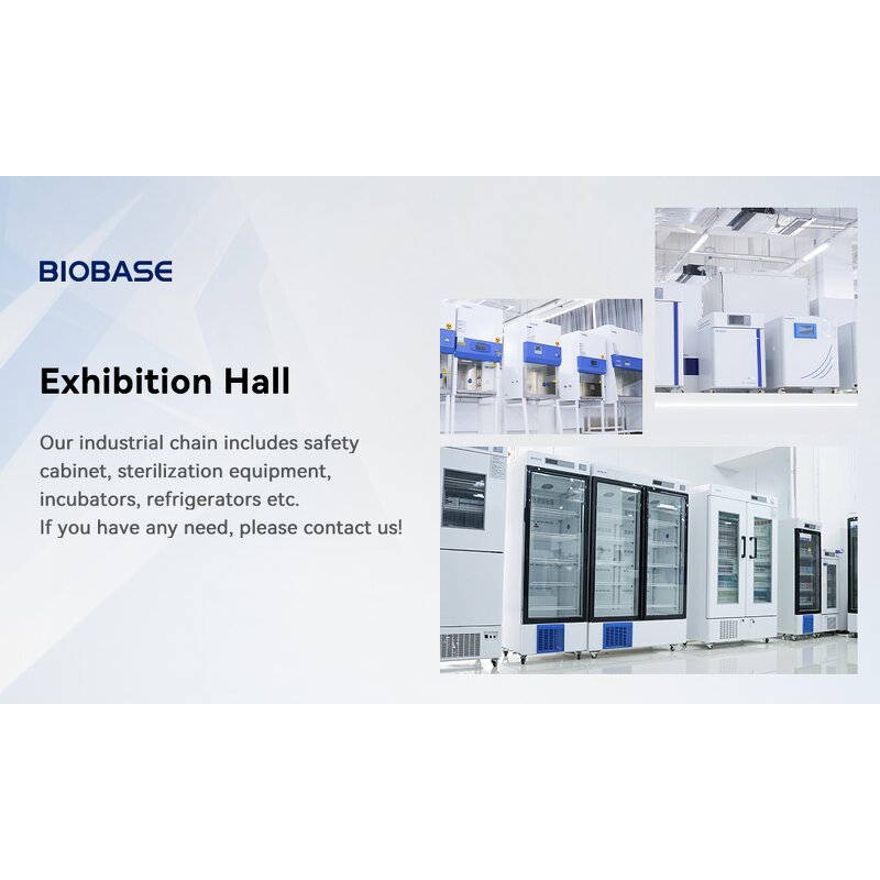 Biological Microscope Factory - Precision Optical Microscope