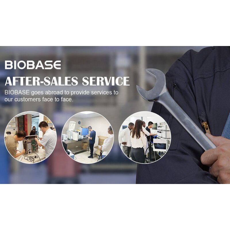 Walking Stick Manufacturer - Adjustable Support Walking Stick