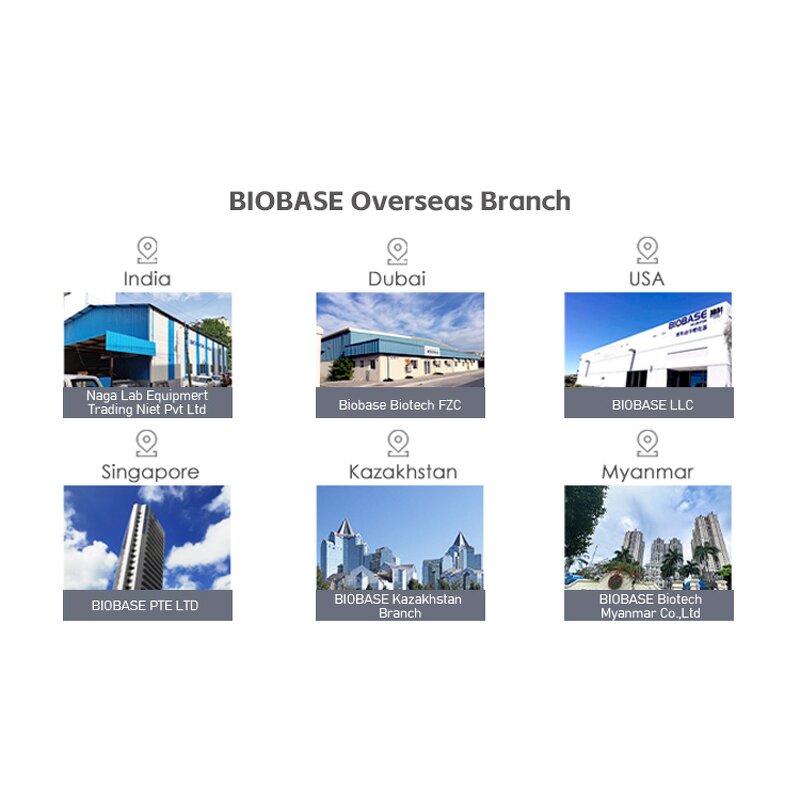 Color Camera System Manufacturer - Microscope Observation System