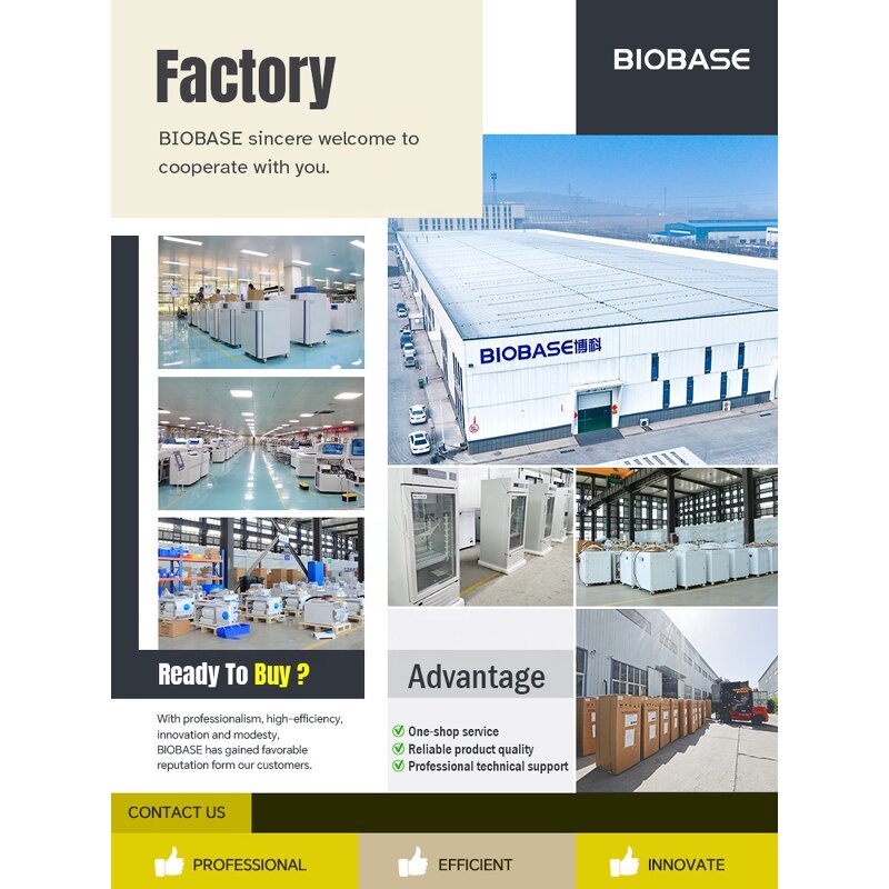 Weighing Scale Factory - Digital LED Display Scale