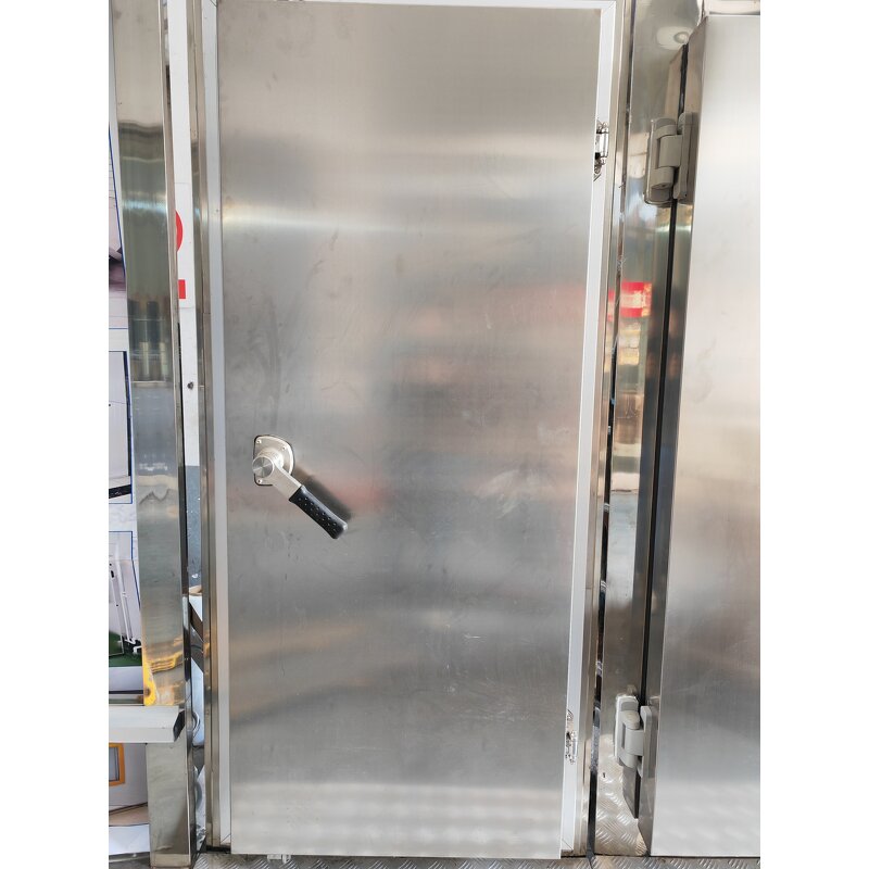 Double Open Cold Room Door Manufacturer - Semi Buried Sliding Door