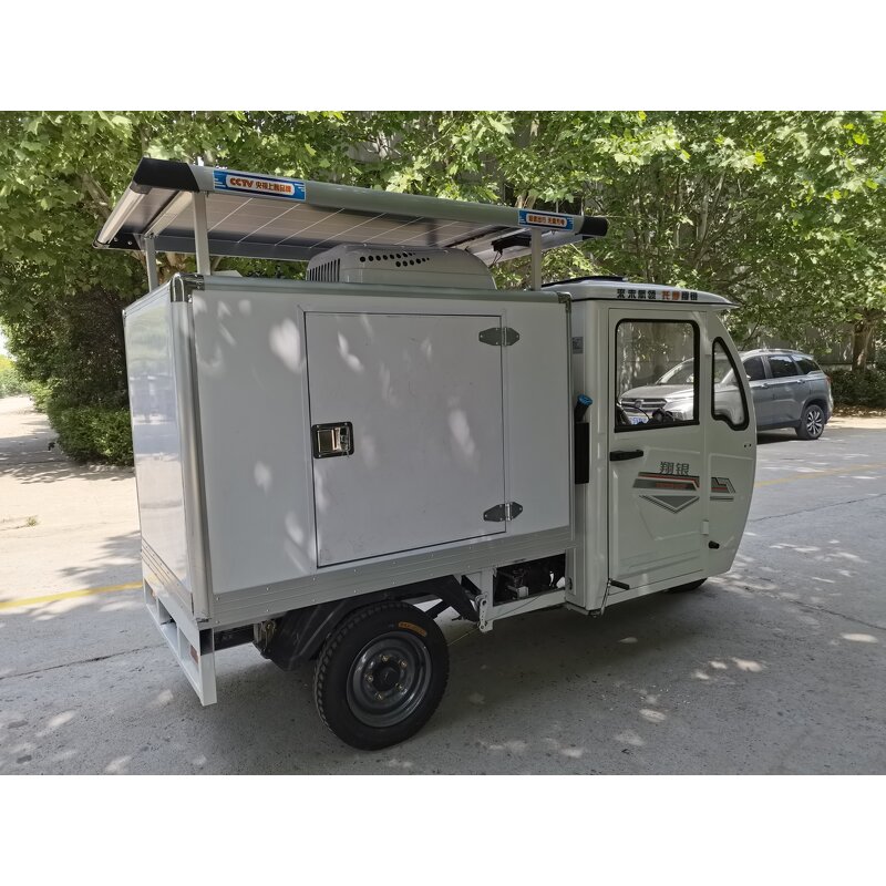 Refrigerated Box Manufacturer - Custom 3m1.2m1.2m 110V Unit