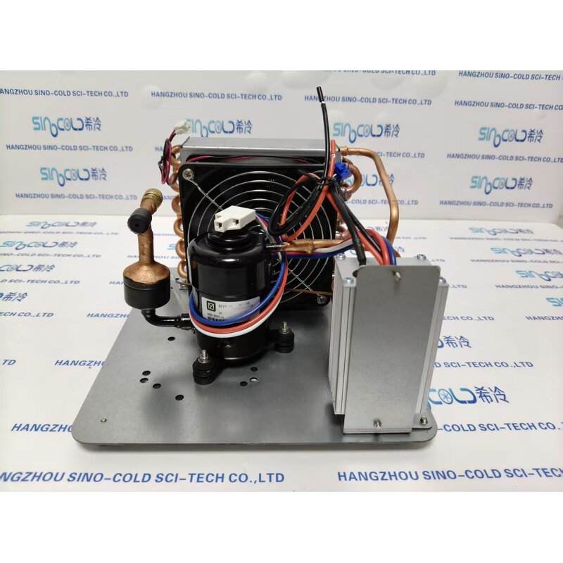 Open Type Condensing Unit Factory - QX19-12 R134a DC-12V Compressor