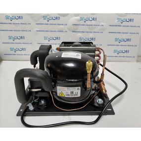 Open Type Condensing Unit Factory - H22U 220-240V R290 Compressor