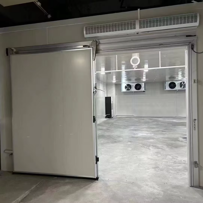 Electric Sliding Door Manufacturer - Color Steel Automatic Door