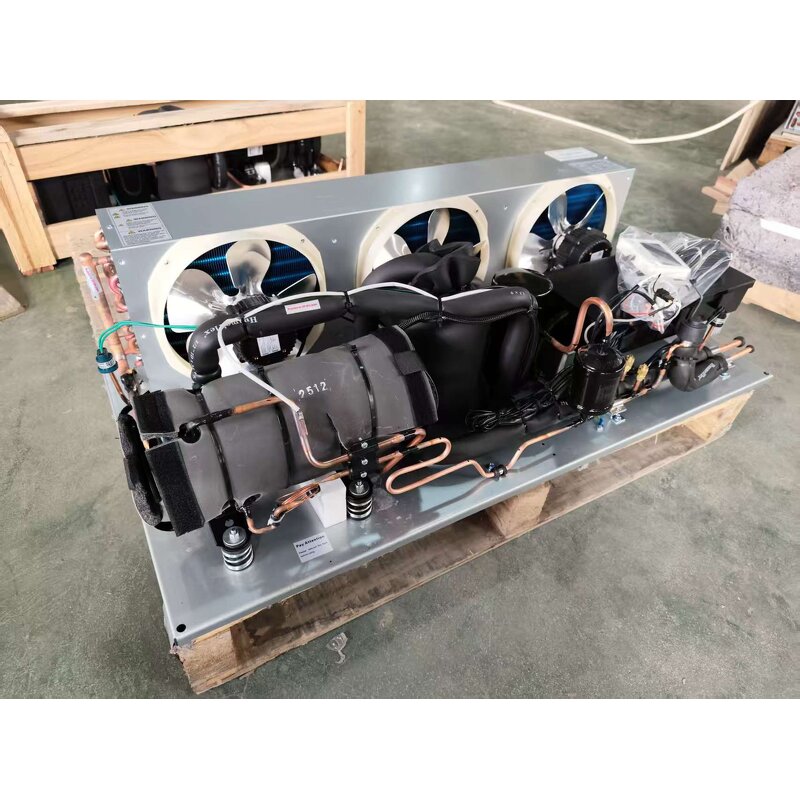 Condensing Unit Factory - Horizontal DC Inverter -45℃~-5℃