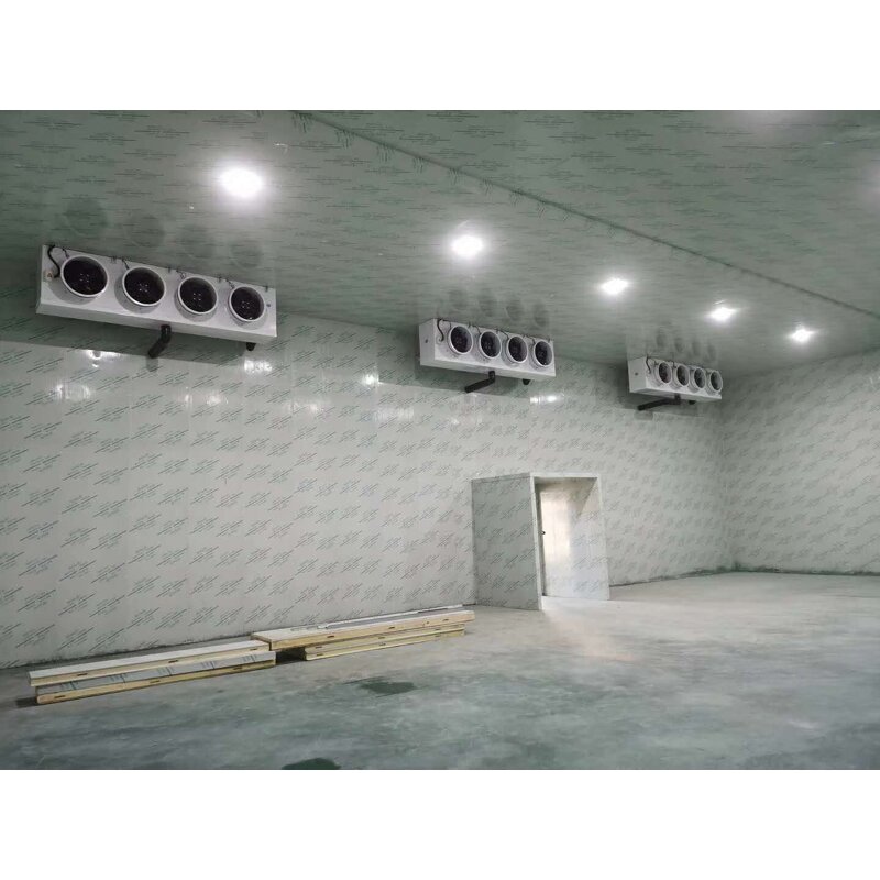 Ceiling-mounted Air Cooler Manufacturer - DD-120 Electric Defrosting
