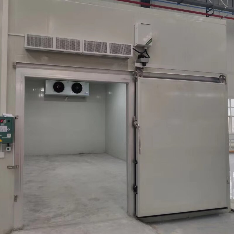 Electric Sliding Door Manufacturer - Color Steel Automatic Door