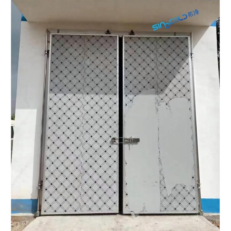 Cold Storage Door Factory - Single Double Open Pivot Manual Door