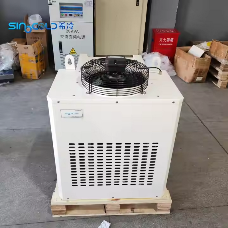 Reefer Truck Freezer Box Manufacturer - Custom 1HP Monoblock Unit