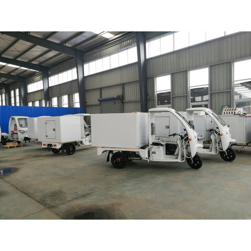 Reefer Freezer Box Manufacturer - Electric Tricycle Cooling Van