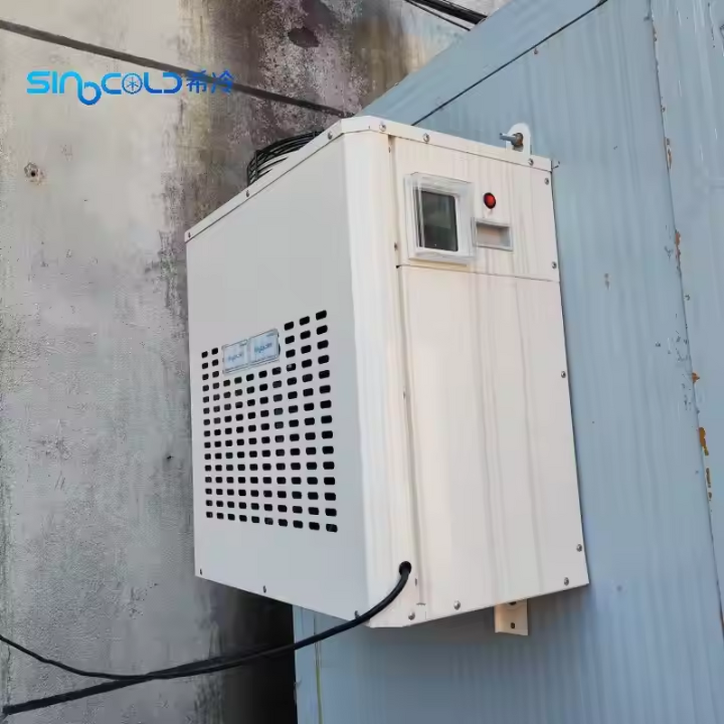 Reefer Truck Freezer Box Manufacturer - Custom 1HP Monoblock Unit