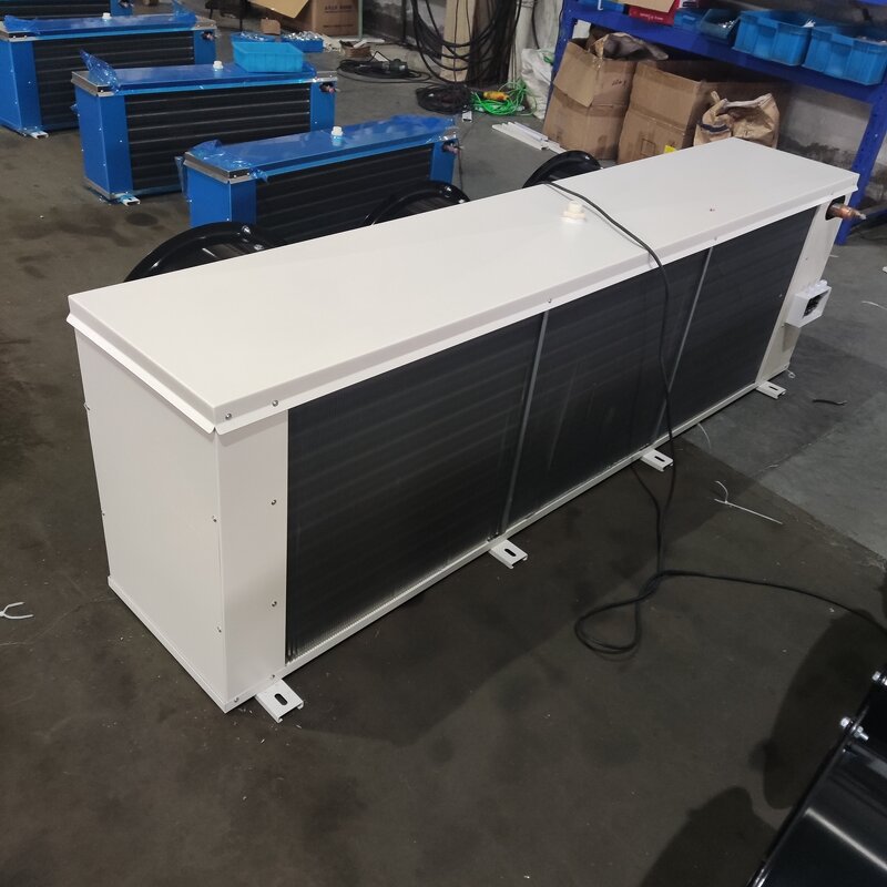 Wall Mounted Air Cooler Manufacturer - DD-19.0/100 Water Defrost