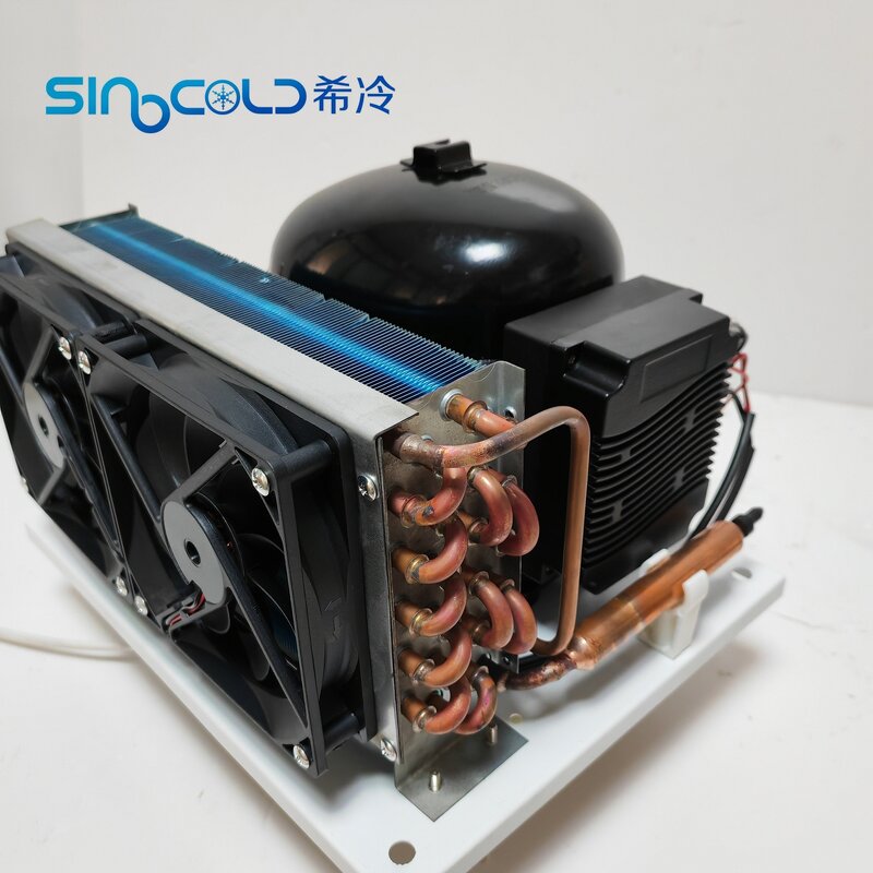 Open Type Condensing Unit Manufacturer - BD110Y DC12V 24V 300W