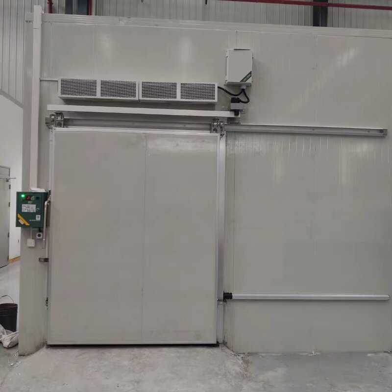 Electric Sliding Door Manufacturer - Color Steel Automatic Door