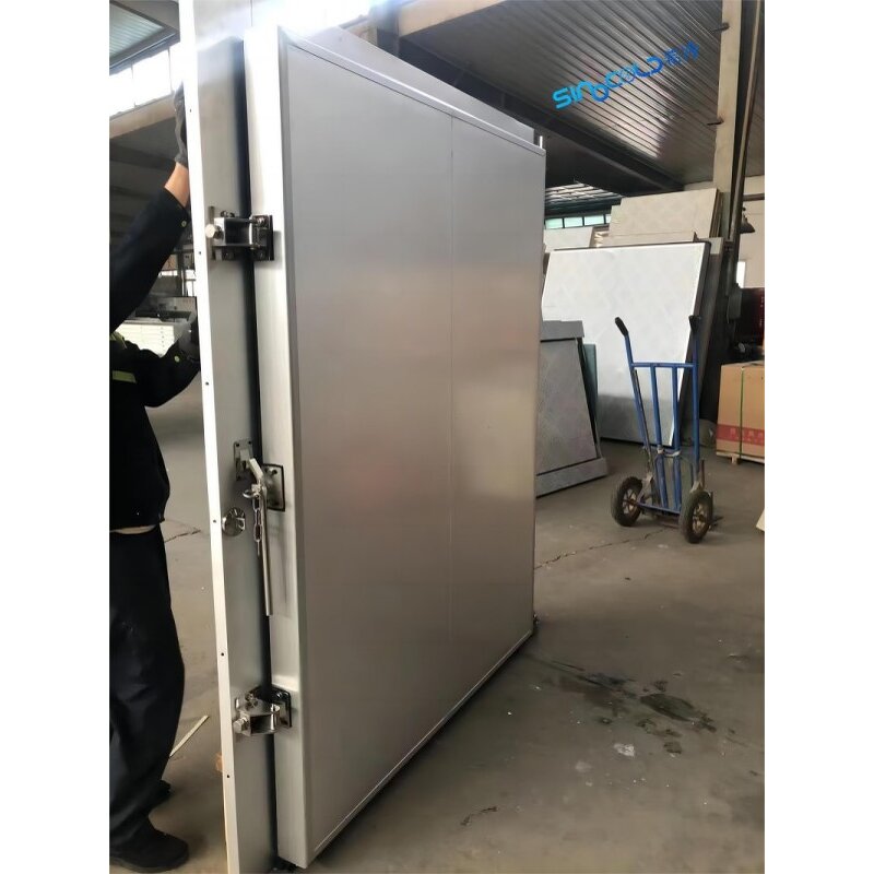 Cold Storage Door Factory - Single Double Open Pivot Manual Door