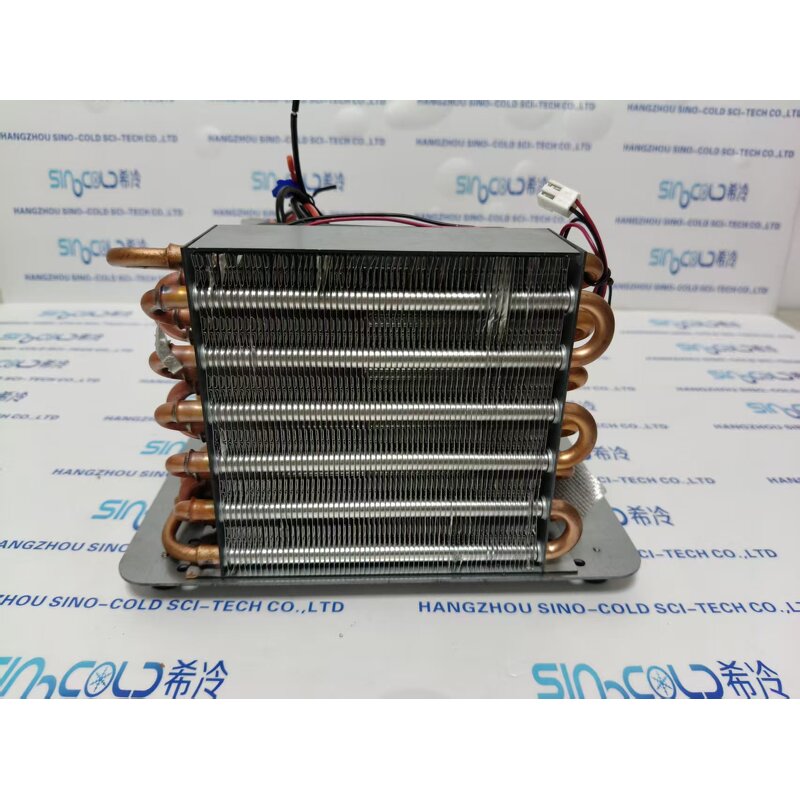 Open Type Condensing Unit Factory - QX19-12 R134a DC-12V Compressor