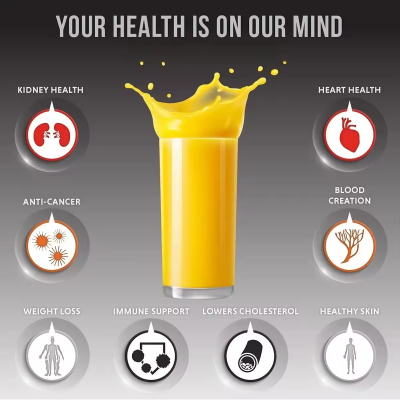 Manual Juicer Manufacturer - Commercial Lemon Squeezer 304 Stainless