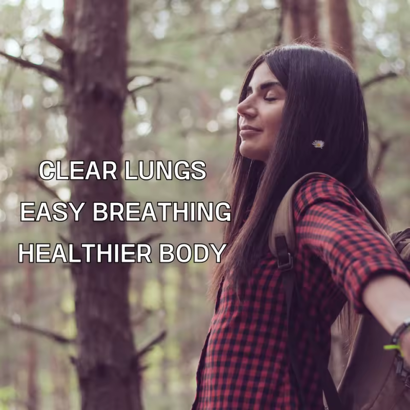 Herbal Extract Tea Manufacturer - Bulk Free Samples Wholesale OEM Custom Freeze-Dried Green Tea